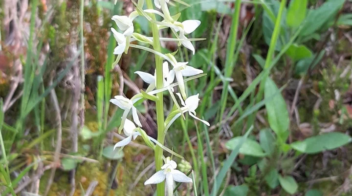 © Bergfreunde München ms