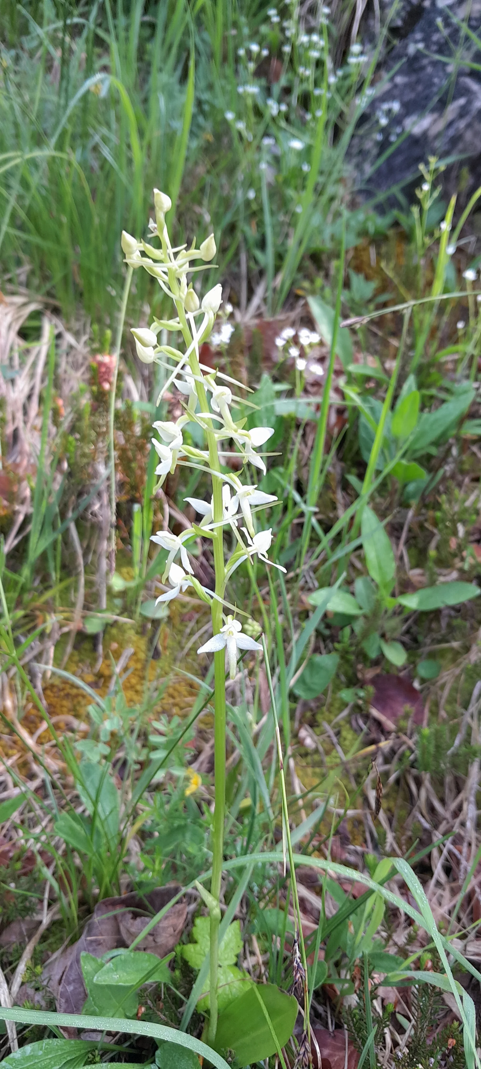 © Bergfreunde München ms