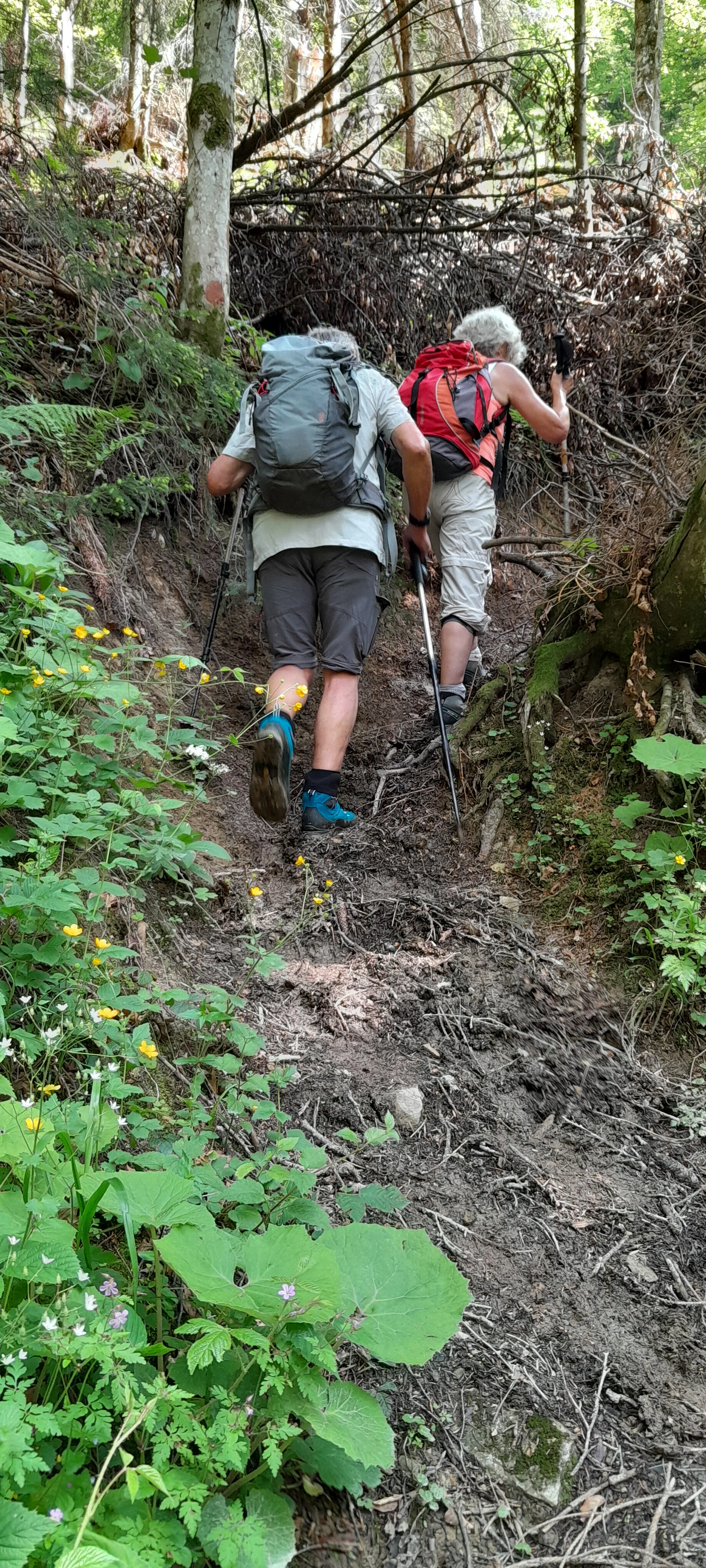 © Bergfreunde München ms