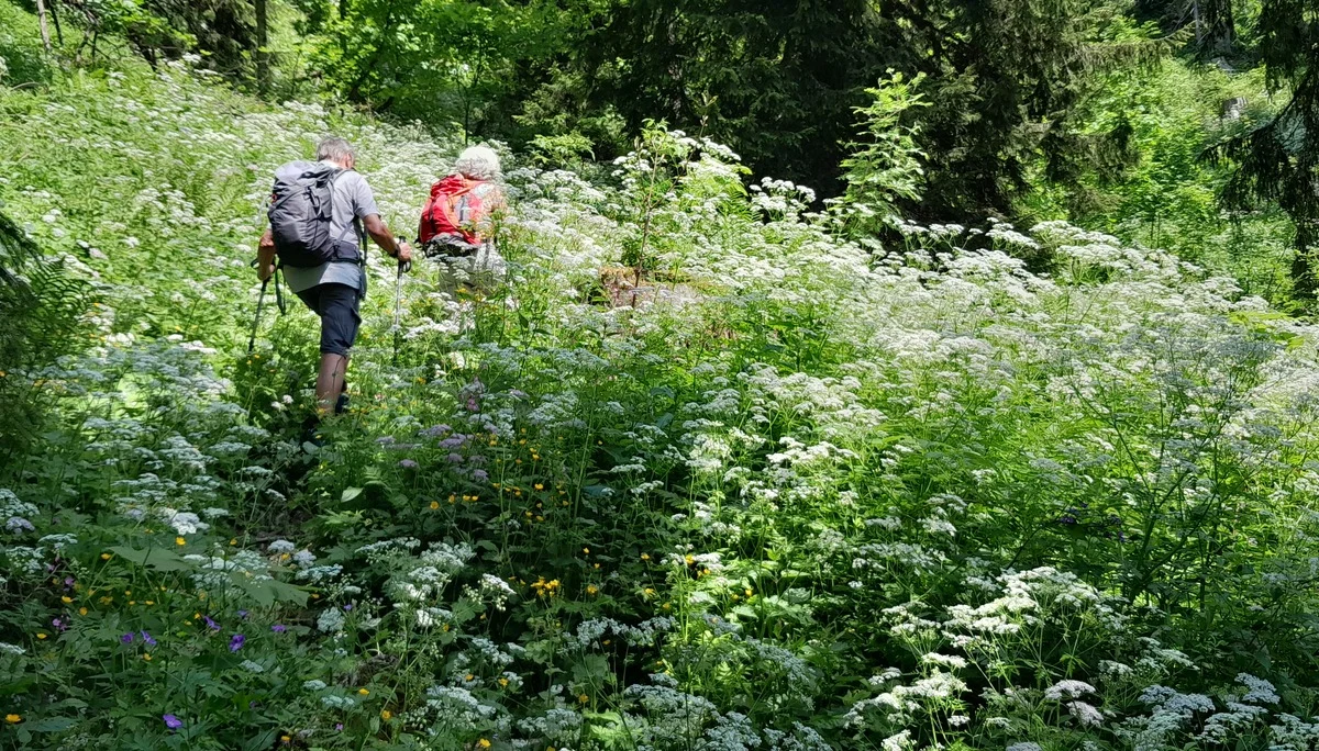 © Bergfreunde München ms
