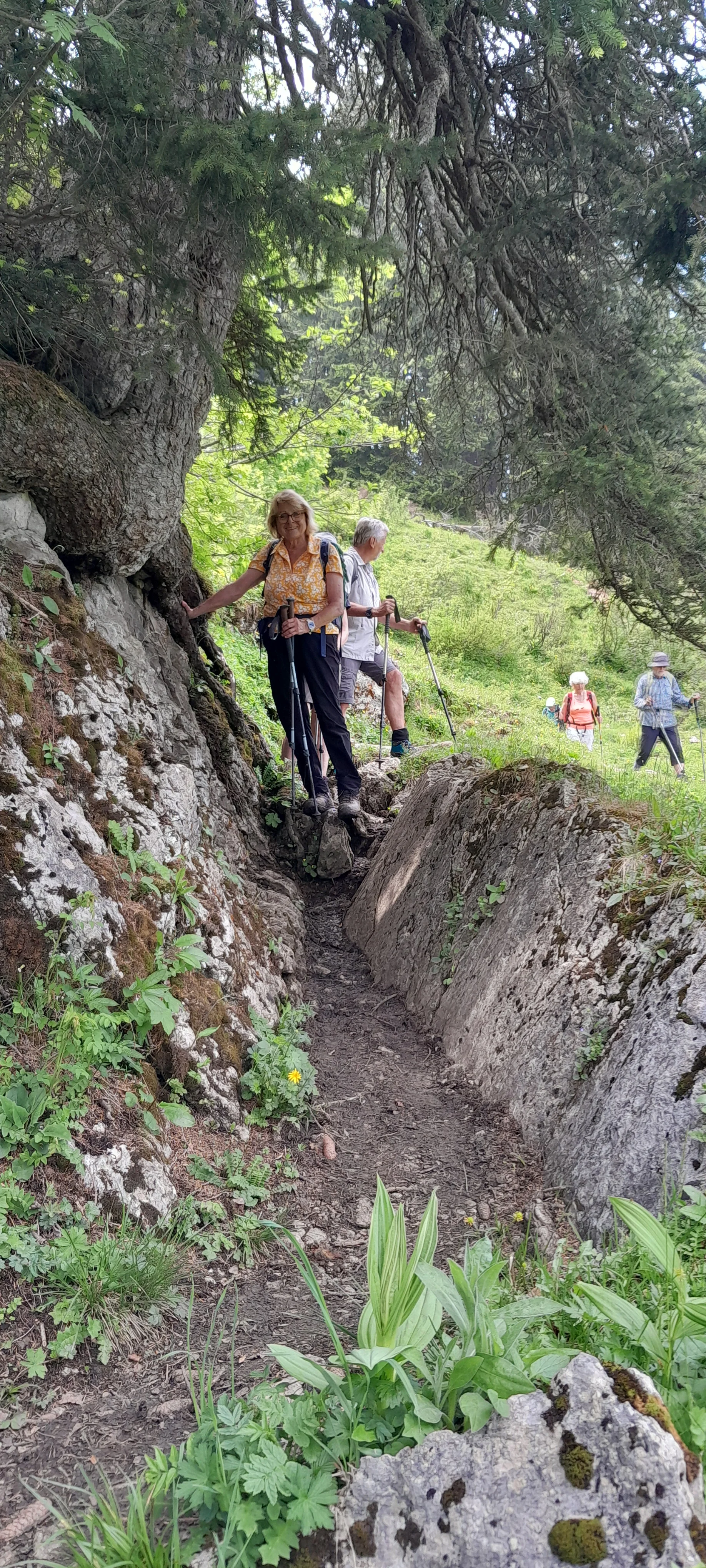 © Bergfreunde München ms