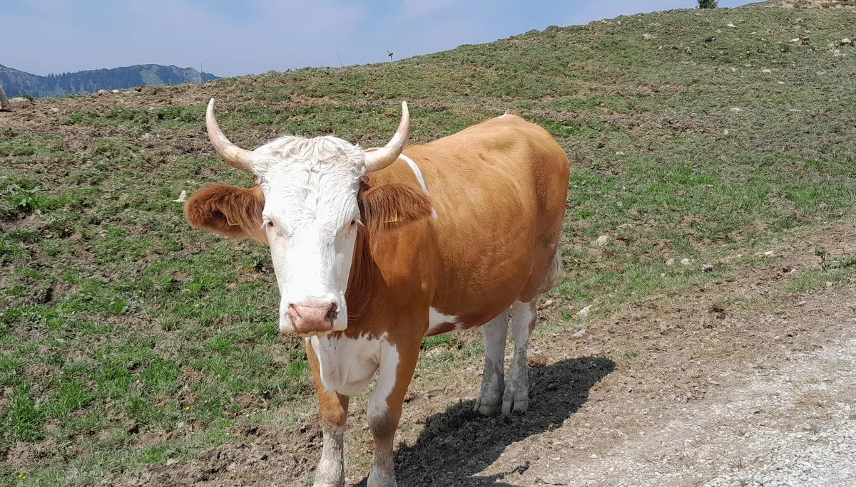 © Bergfreunde München ms