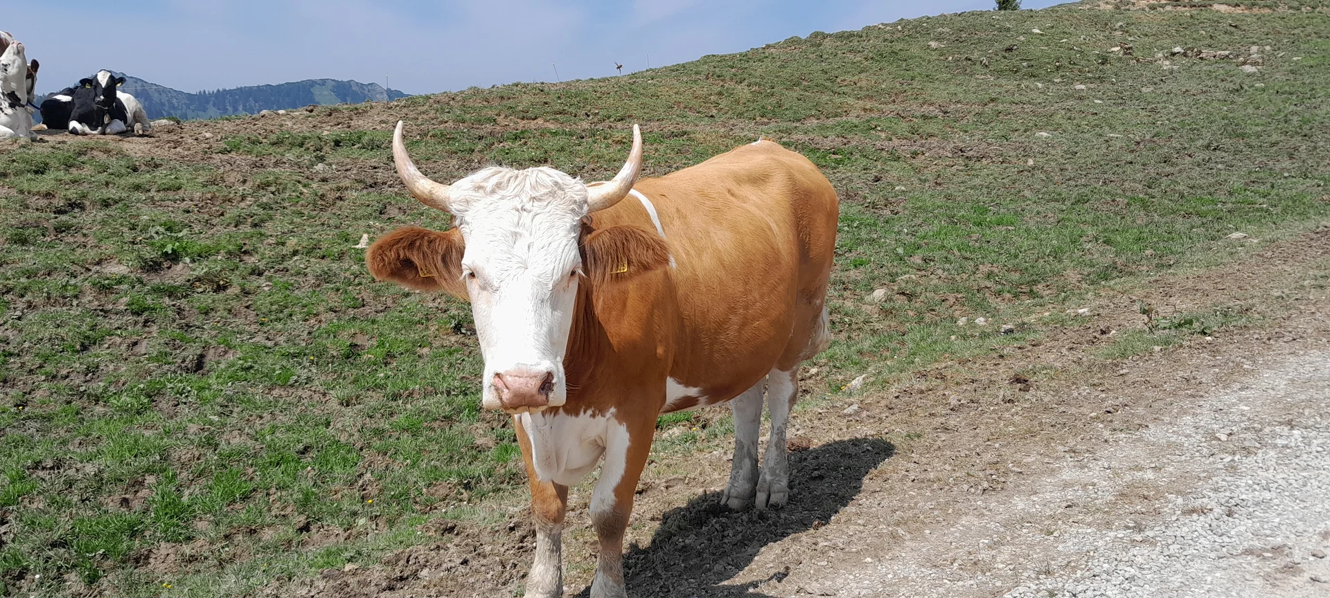 © Bergfreunde München ms