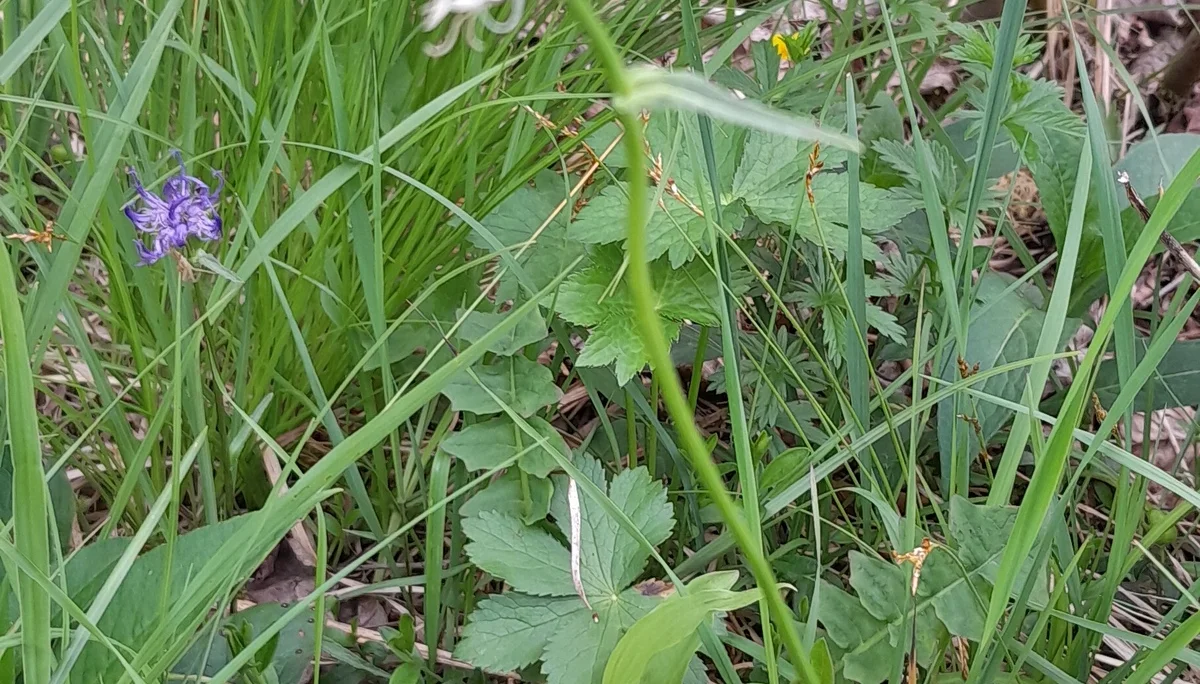 © Bergfreunde München ms