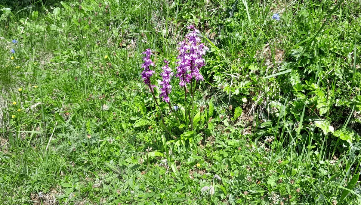 © Bergfreunde München ms