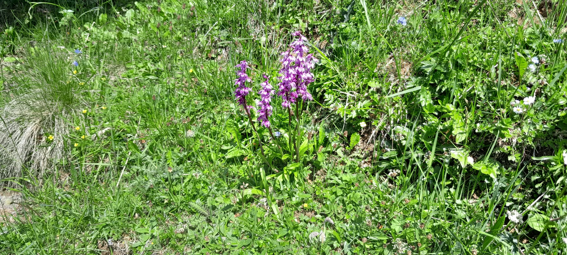 © Bergfreunde München ms