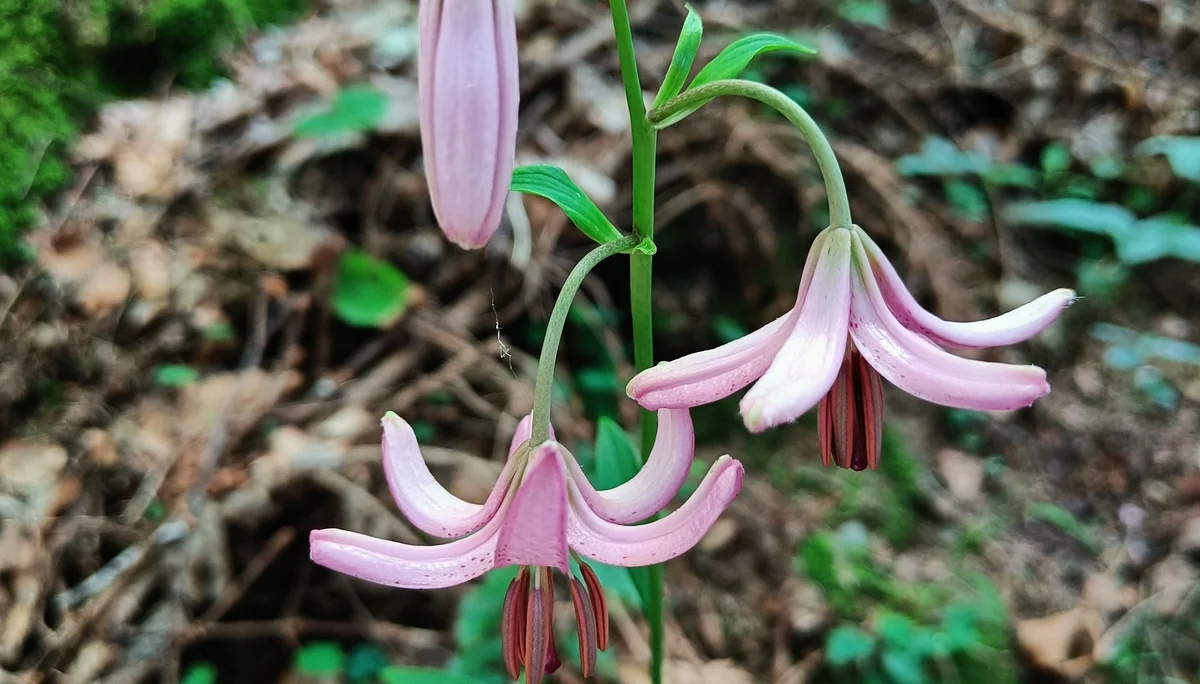 © Bergfreunde-Muenchen JvU