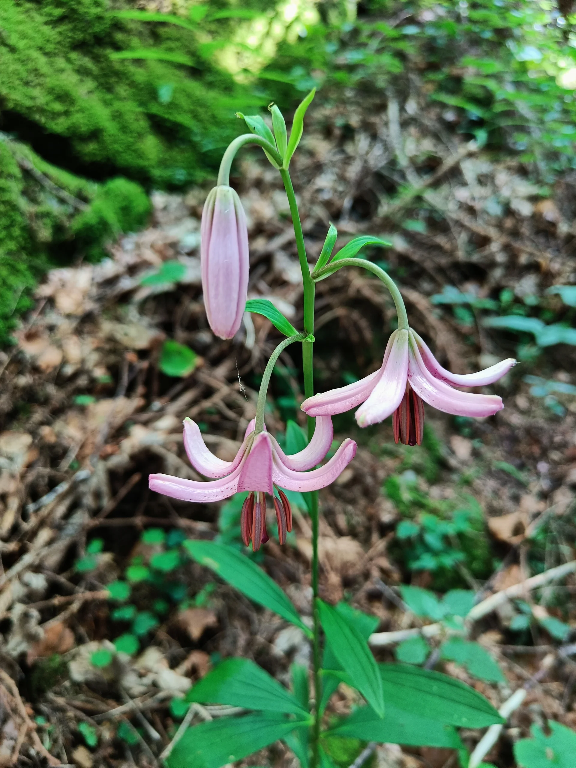 © Bergfreunde-Muenchen JvU