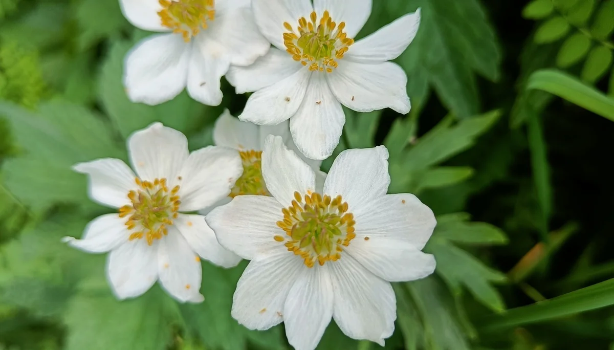 © Bergfreunde-Muenchen JvU