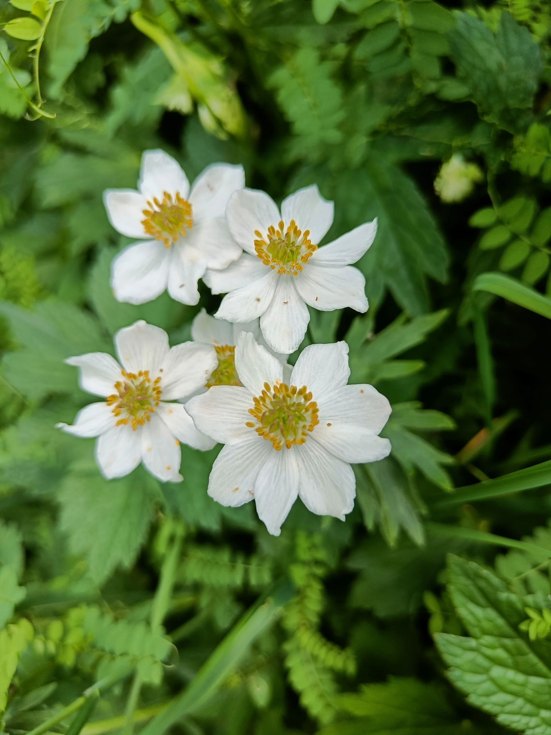 © Bergfreunde-Muenchen JvU