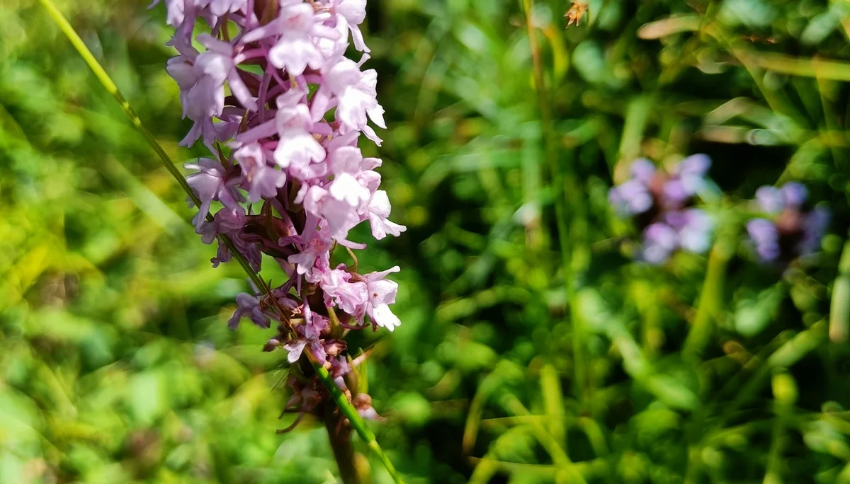 © Bergfreunde-Muenchen JvU