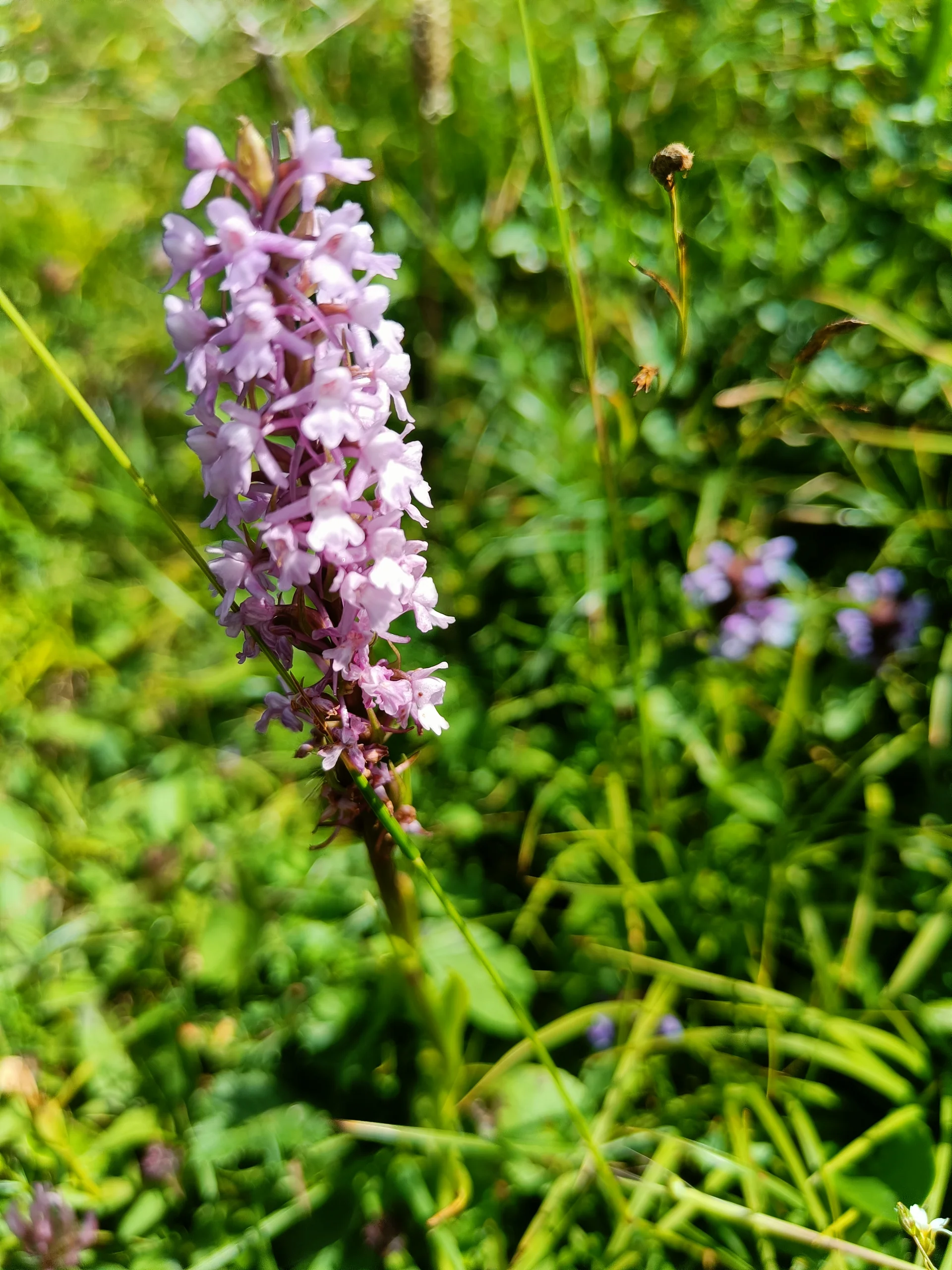 © Bergfreunde-Muenchen JvU