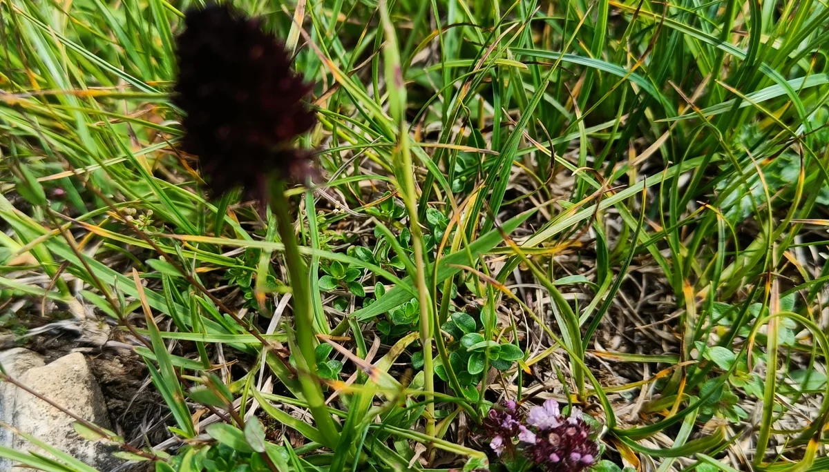 © Bergfreunde-Muenchen JvU