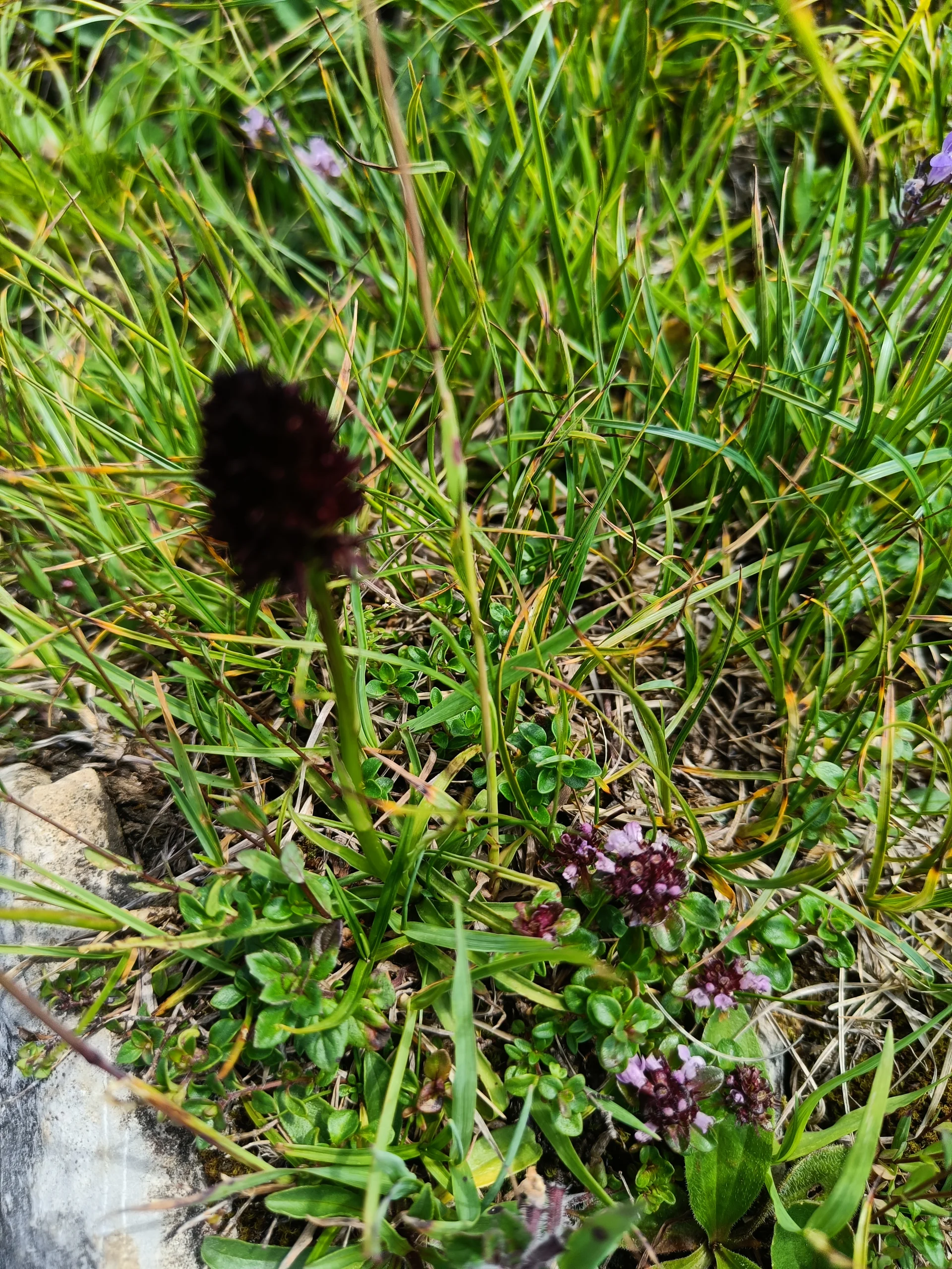 © Bergfreunde-Muenchen JvU