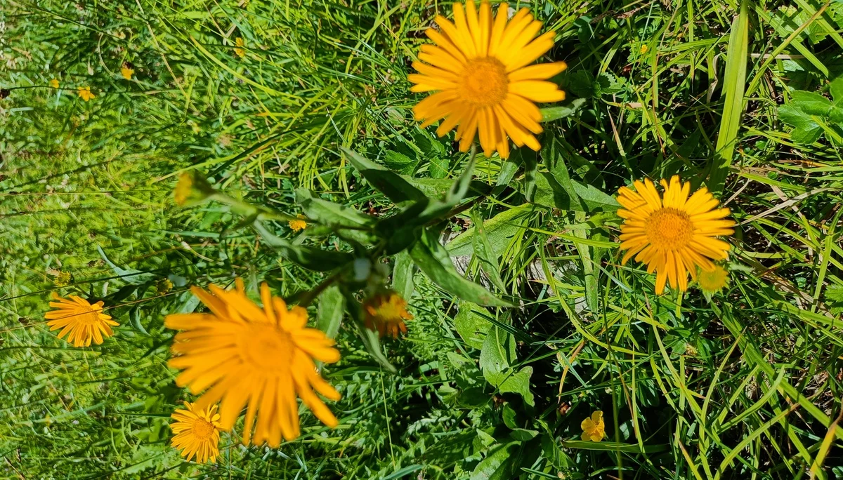 © Bergfreunde-Muenchen JvU