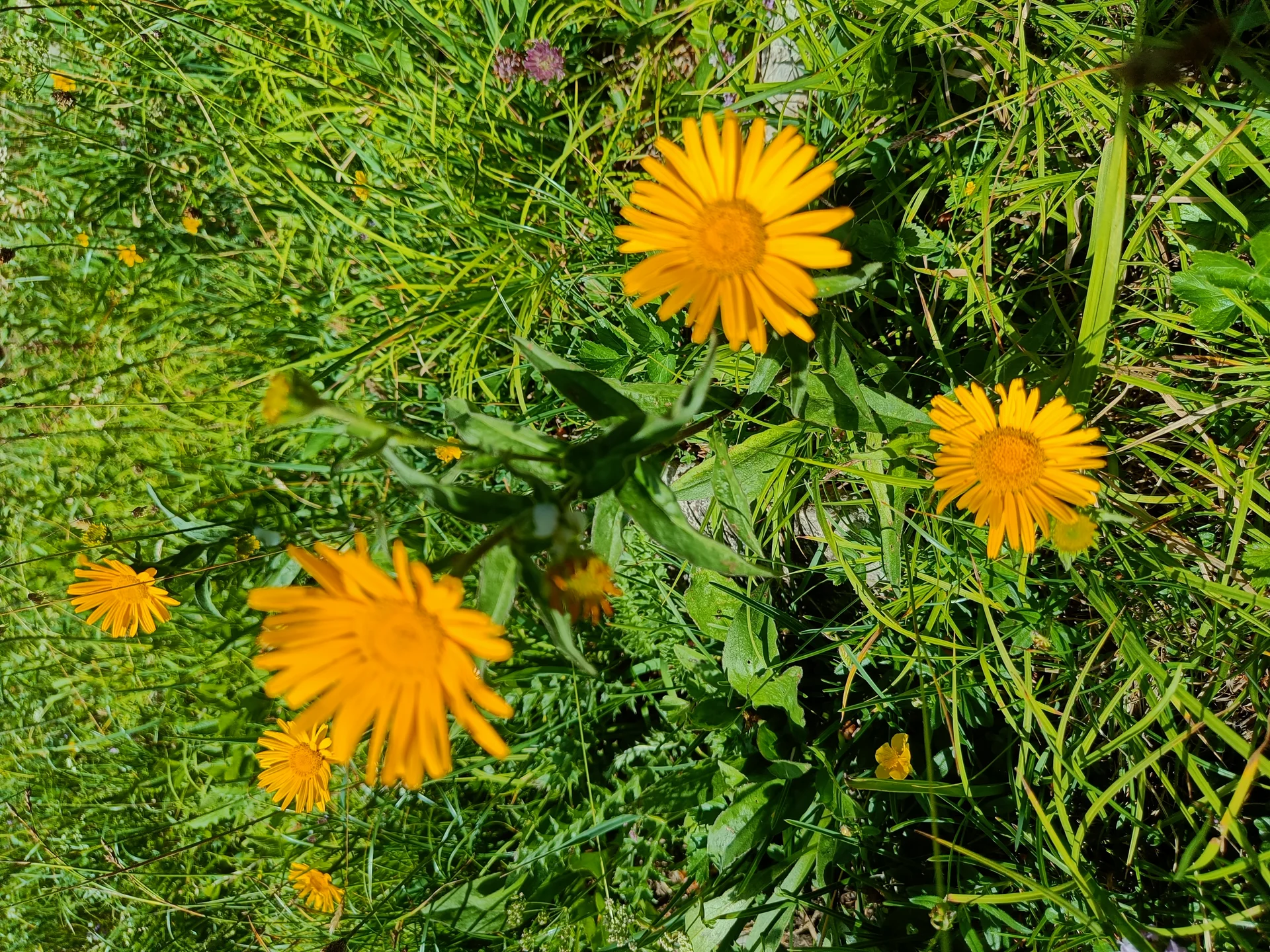 © Bergfreunde-Muenchen JvU