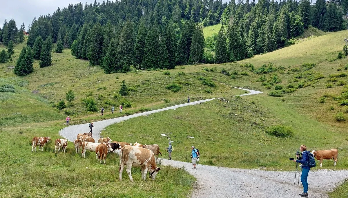 © Bergfreunde-Muenchen WM