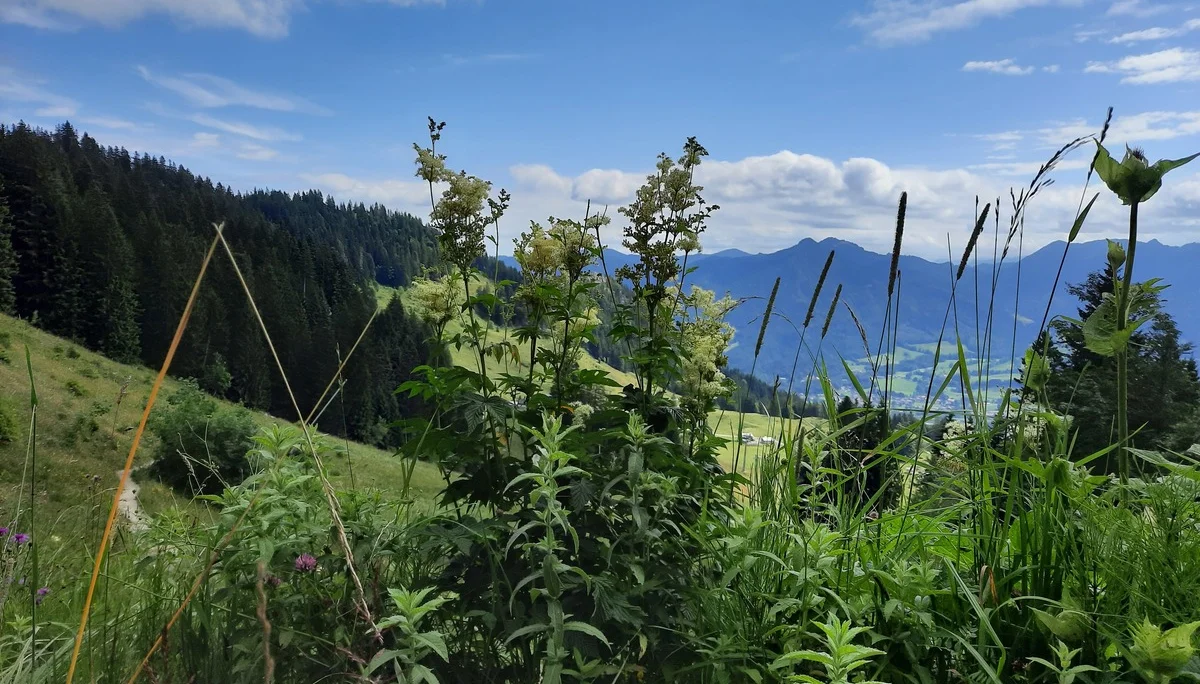 © Bergfreunde-Muenchen WM