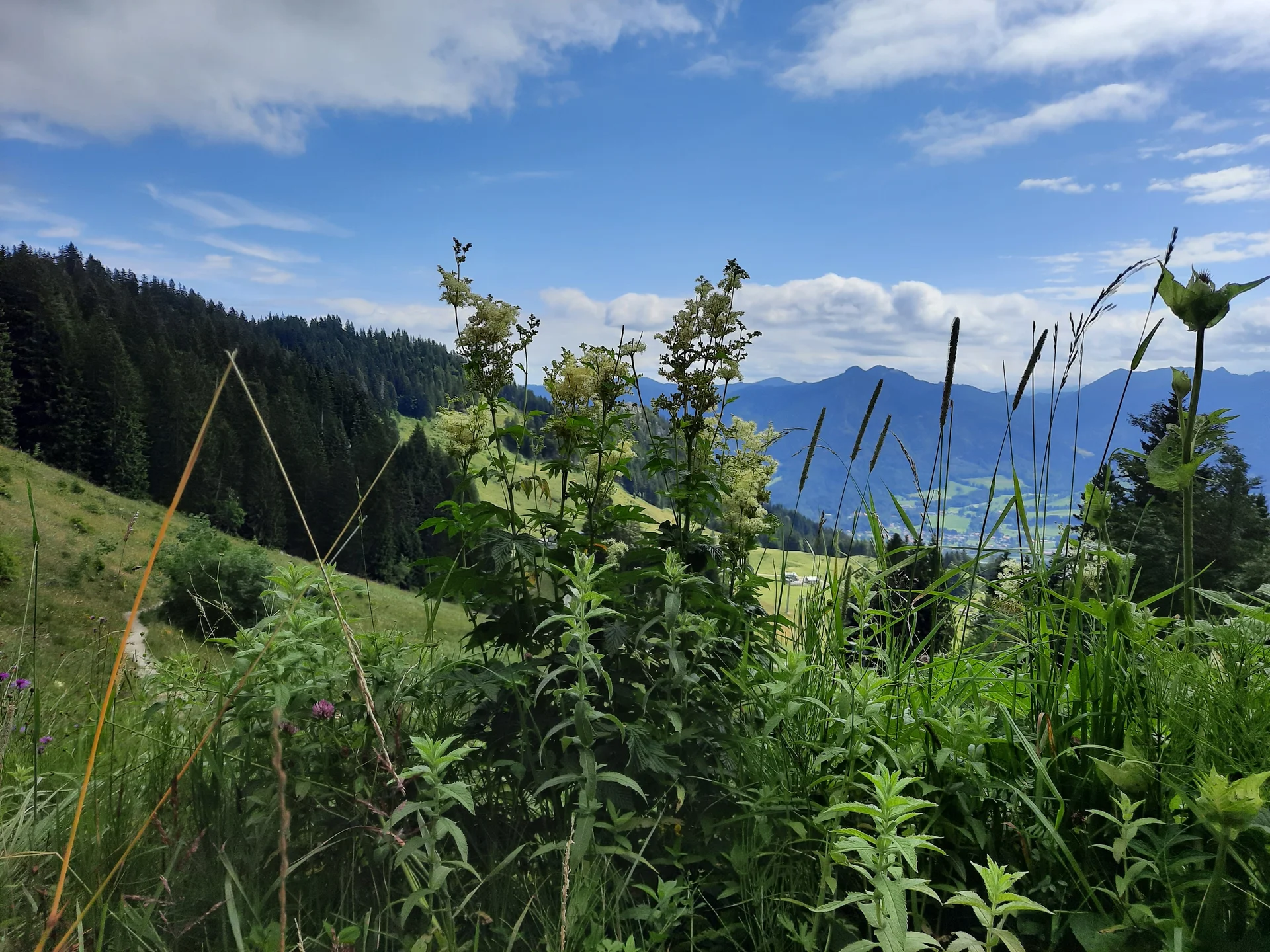 © Bergfreunde-Muenchen WM