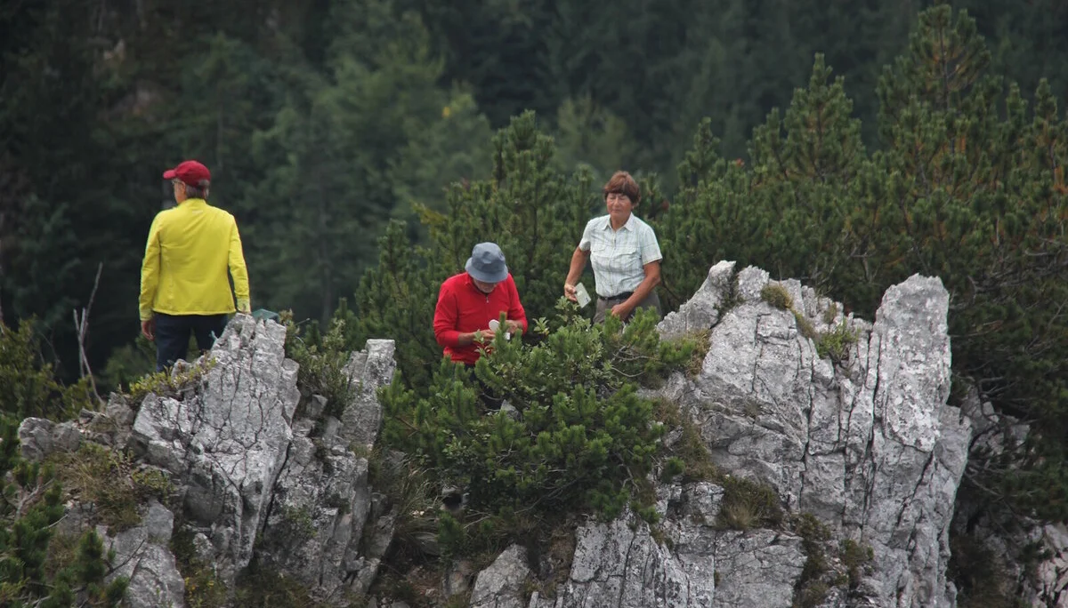 © Bergfreunde-Muenchen RE