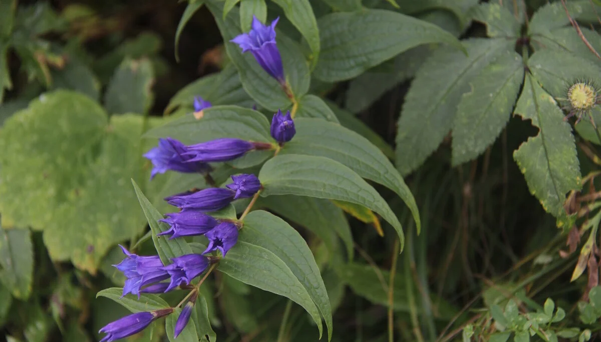 © Bergfreunde-Muenchen RE