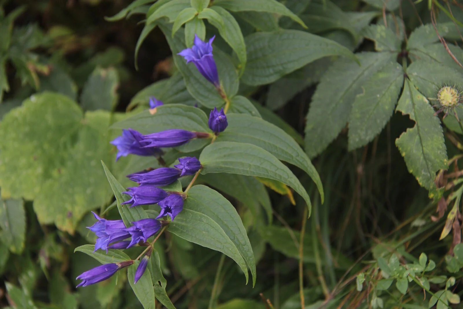 © Bergfreunde-Muenchen RE