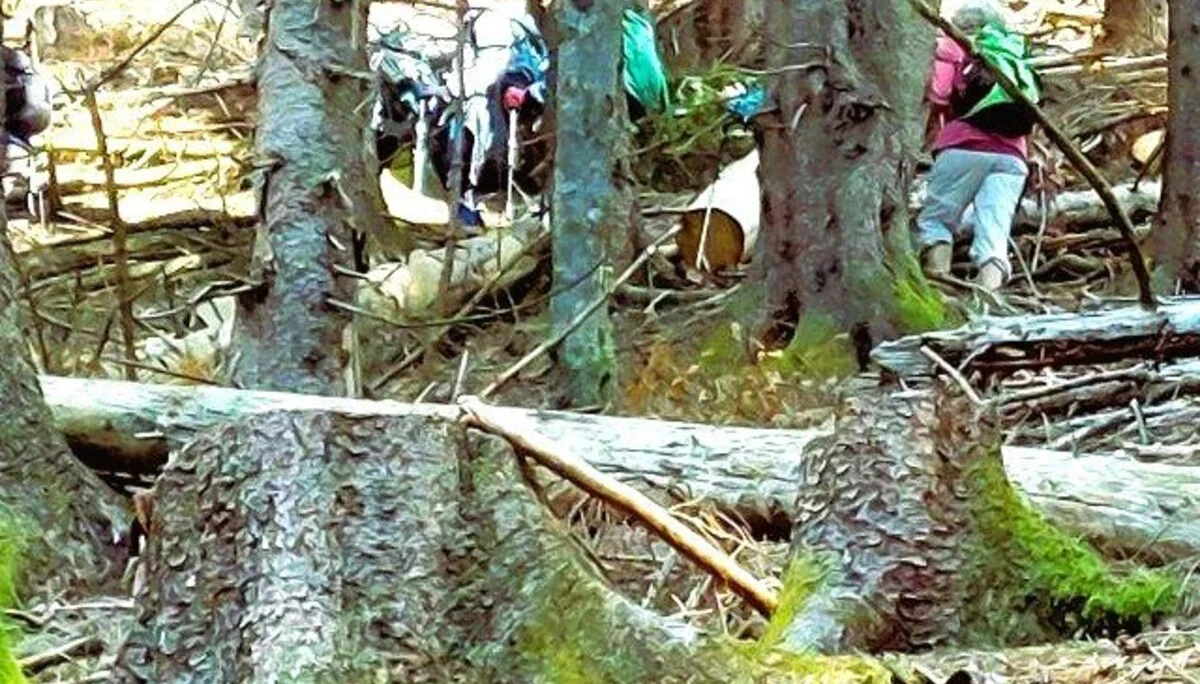 © Bergfreunde-muenchen Peter S