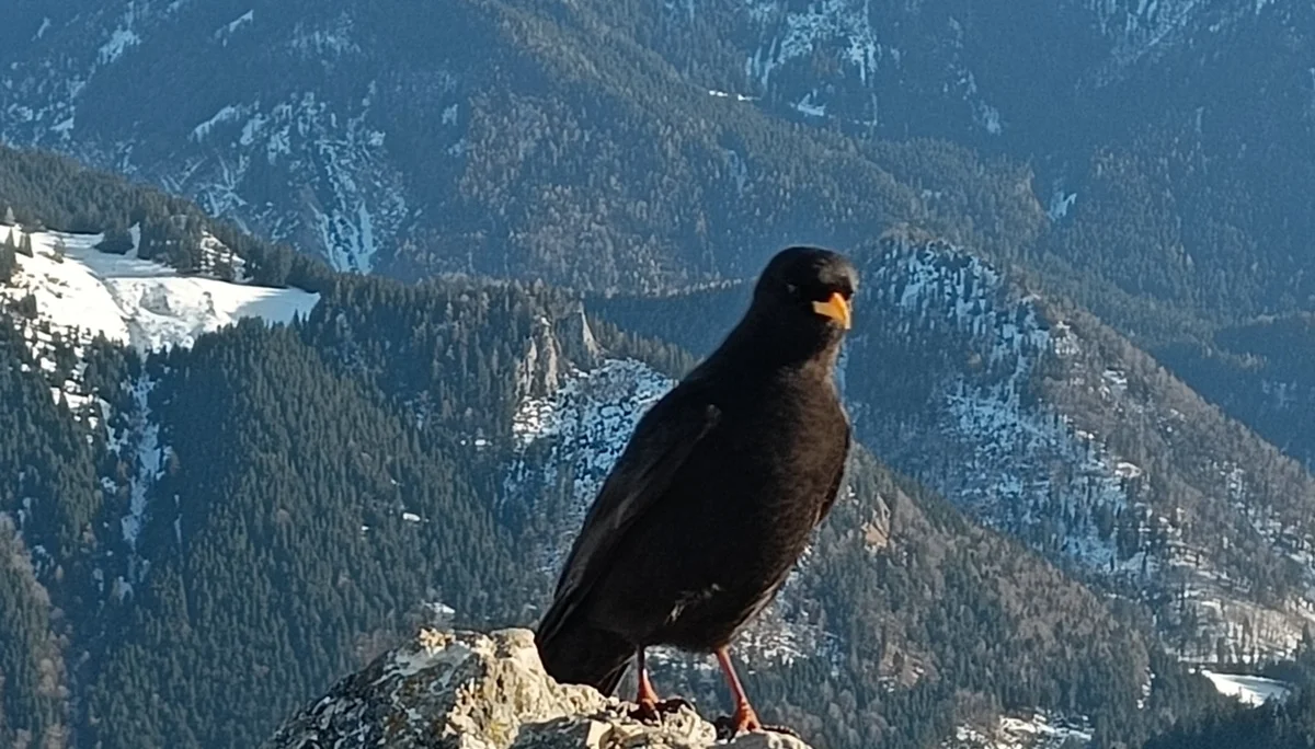 © Bergfreunde-muenchen JvU