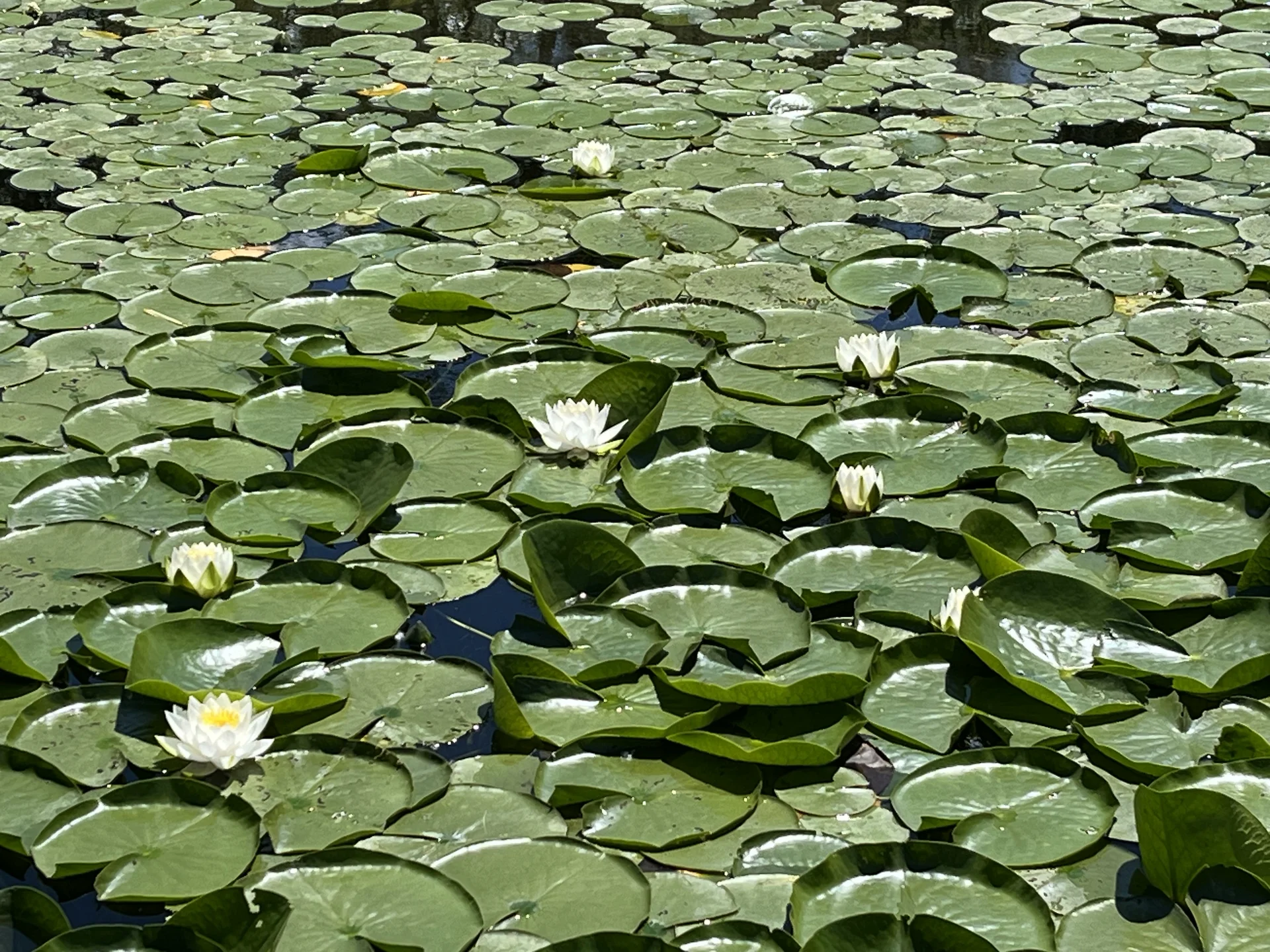 © Bergfreunde München WH