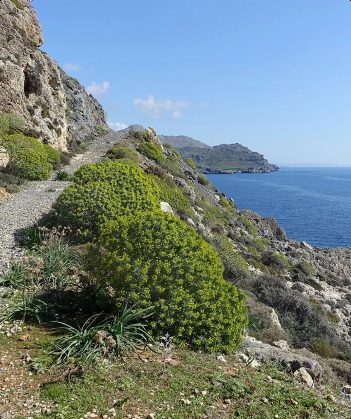 Küstenwanderweg | © Jochen Ebenhoch