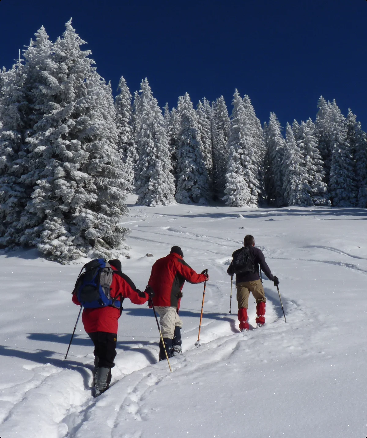 © Bergfreunde München