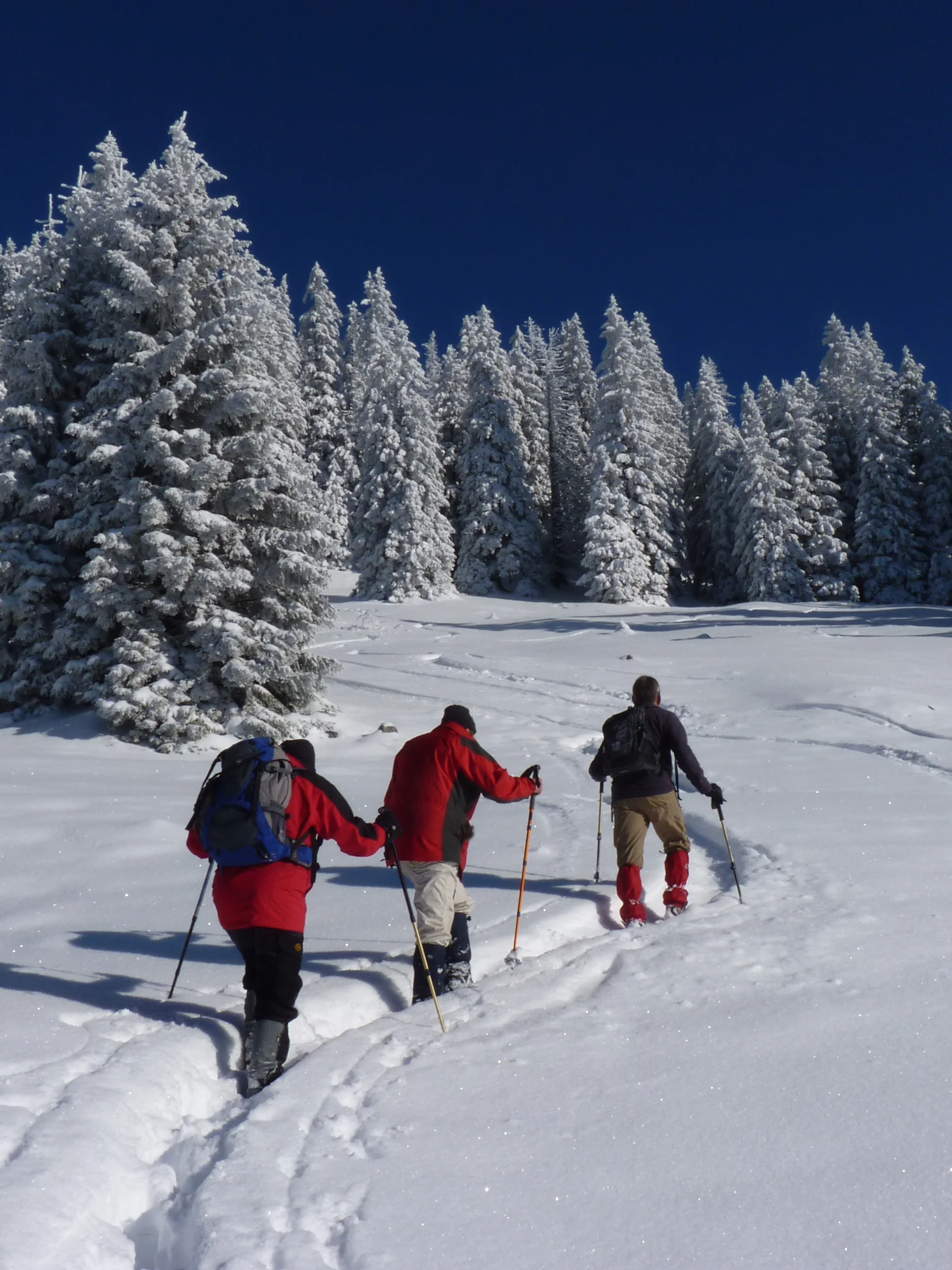 © Bergfreunde München