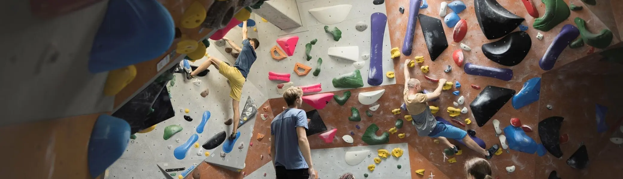 In der Boulderhalle: Ansicht einer Boulderwand mit Sportlern | © DAV / Jens Klatt
