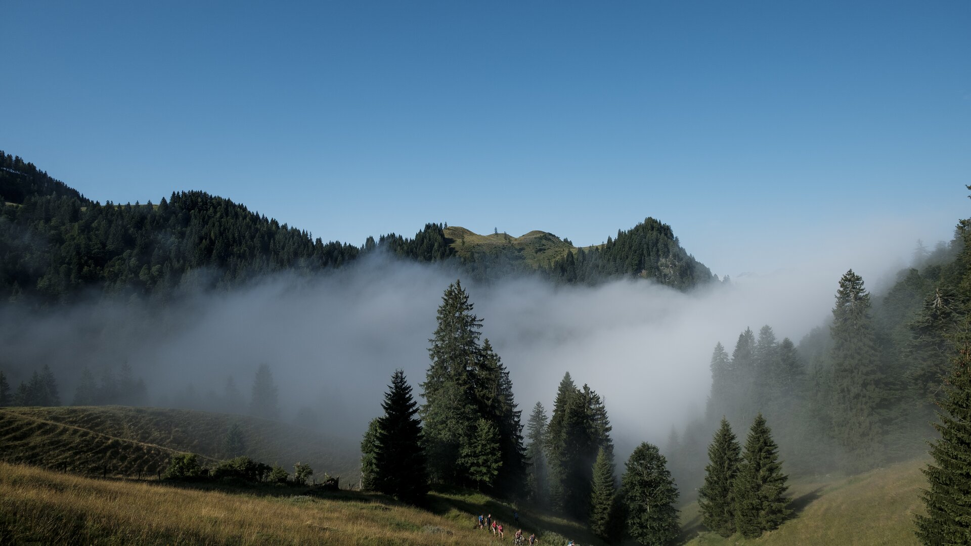 © DAV/Hans Herbig © DAV/Hans Herbig