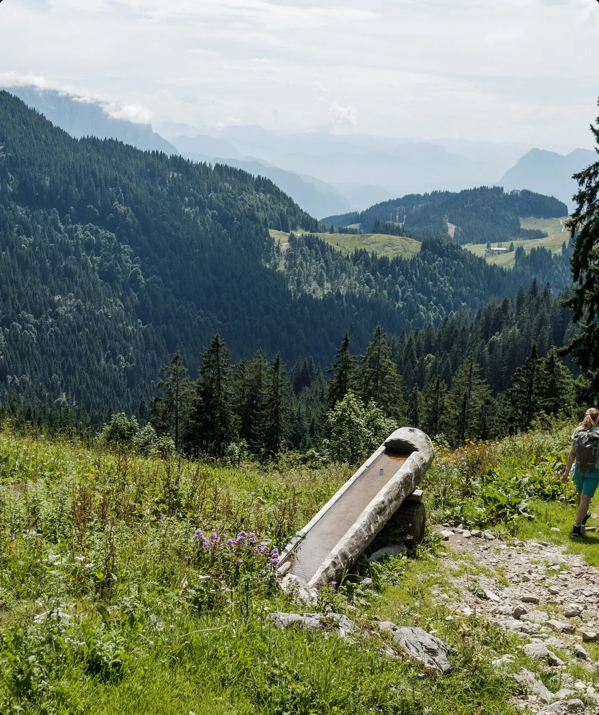 Zwei Wanderer auf einem Bergpfad in den Chiemgauer Alpen | © DAV/Hans Herbig