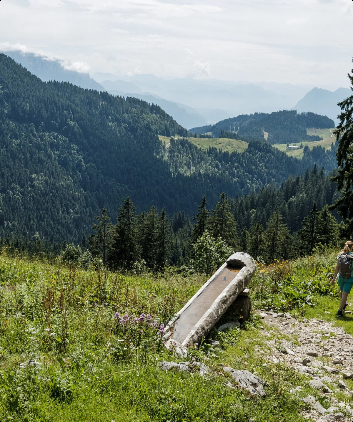 Zwei Wanderer auf einem Bergpfad in den Chiemgauer Alpen | © DAV/Hans Herbig