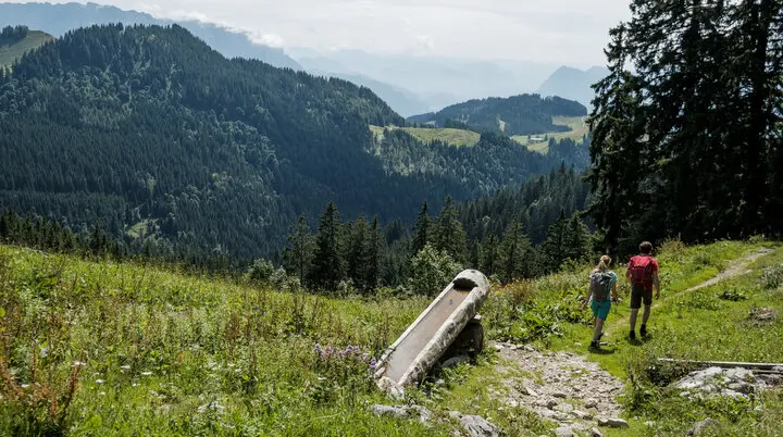 Zwei Wanderer auf einem Bergpfad in den Chiemgauer Alpen | © DAV/Hans Herbig