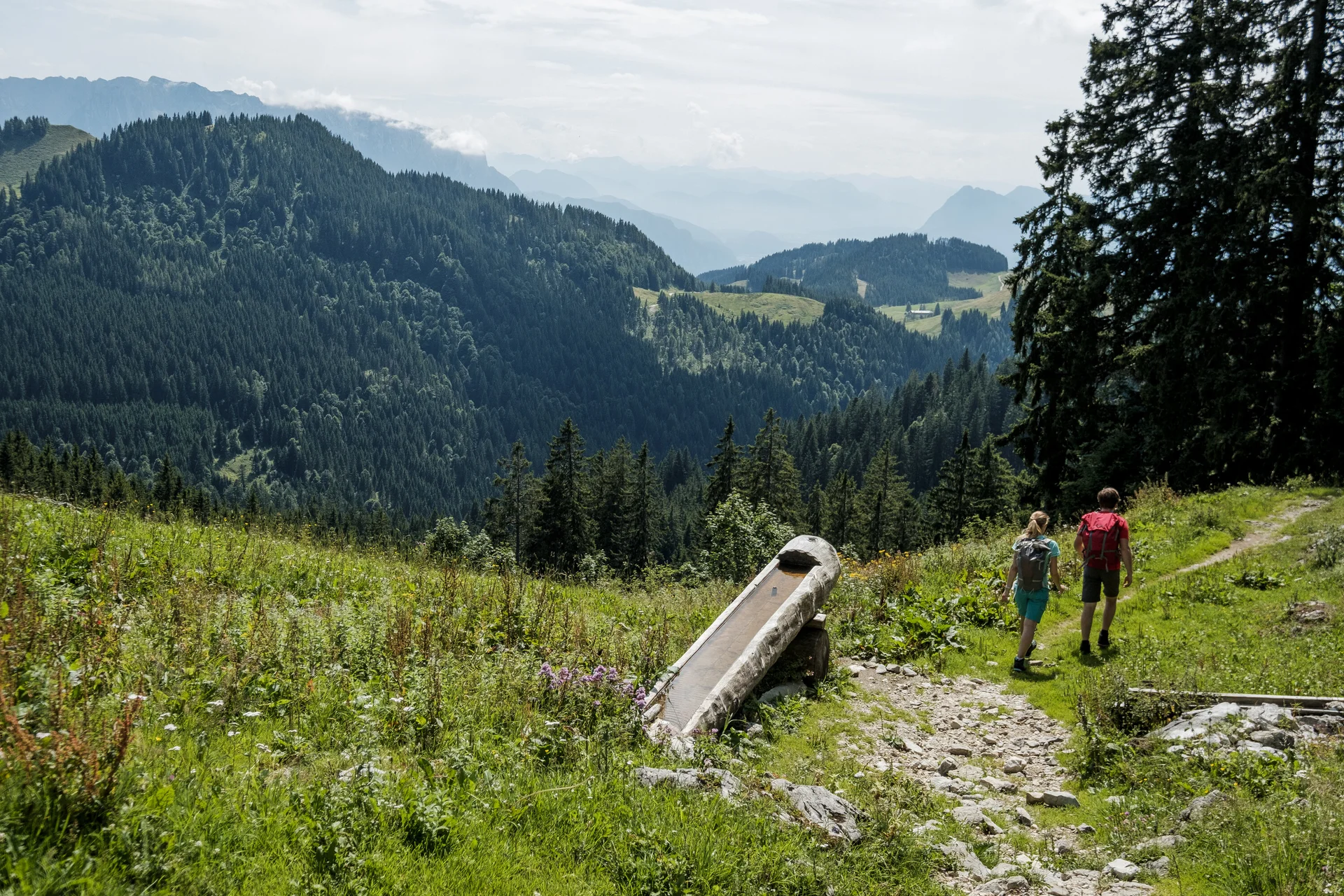 Zwei Wanderer auf einem Bergpfad in den Chiemgauer Alpen | © DAV/Hans Herbig