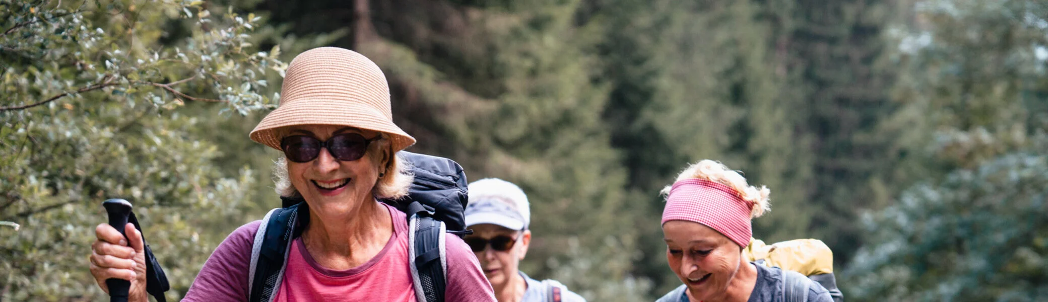 Seniorenwandergruppe beim Aufstieg | © DAV / Marisa Koch